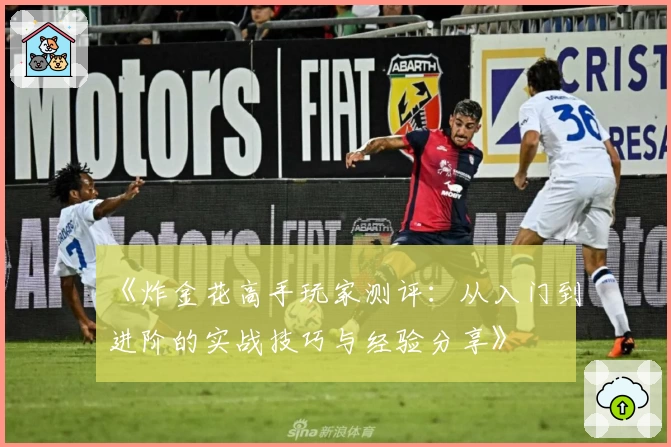 《炸金花高手玩家测评：从入门到进阶的实战技巧与经验分享》