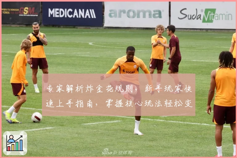 专家解析炸金花规则，新手玩家快速上手指南，掌握核心玩法轻松变身棋牌高手