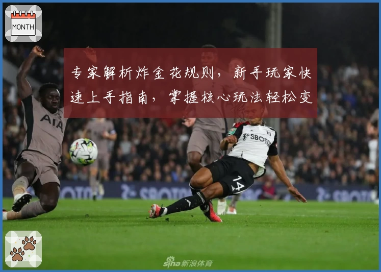 专家解析炸金花规则，新手玩家快速上手指南，掌握核心玩法轻松变身棋牌高手