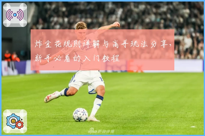 炸金花规则详解与高手玩法分享，新手必看的入门教程