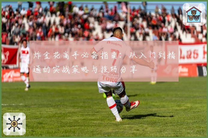 炸金花高手必备指南:从入门到精通的实战策略与技巧分享