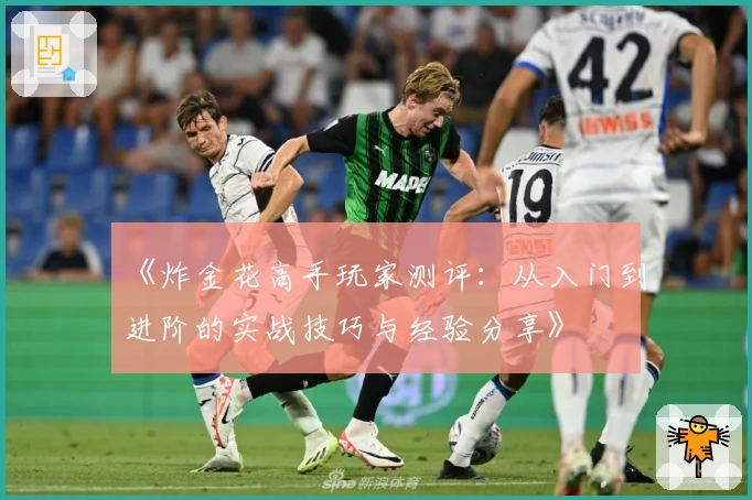 《炸金花高手玩家测评：从入门到进阶的实战技巧与经验分享》