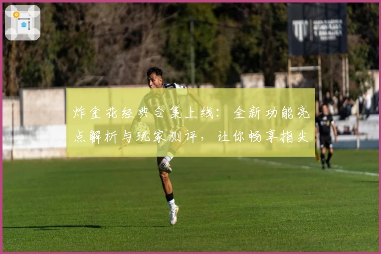 炸金花经典合集上线：全新功能亮点解析与玩家测评，让你畅享指尖对战乐趣