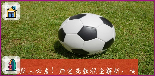 新人必看!炸金花教程全解析,快速掌握规则与技巧,轻松上手畅玩