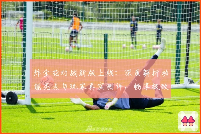 炸金花对战新版上线：深度解析功能亮点与玩家真实测评，畅享极致对战体验