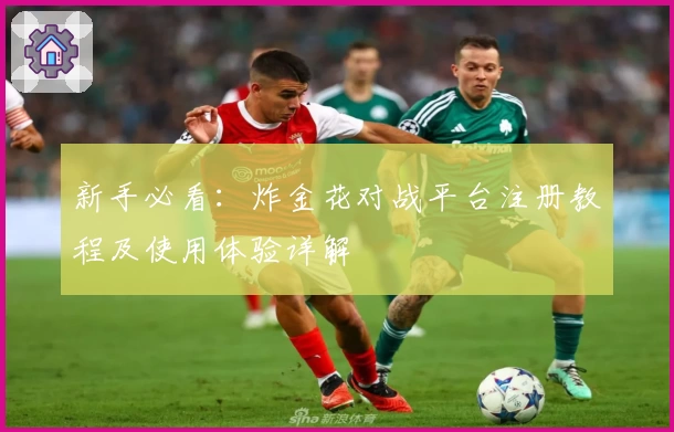 新手必看:炸金花对战平台注册教程及使用体验详解