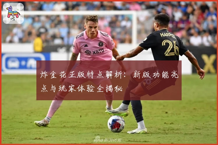 炸金花正版特点解析：新版功能亮点与玩家体验全揭秘